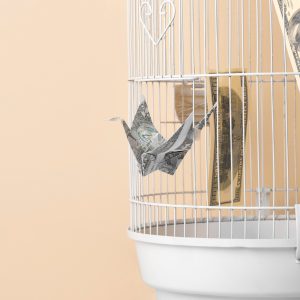 Money Flying Away out of Bird Cage